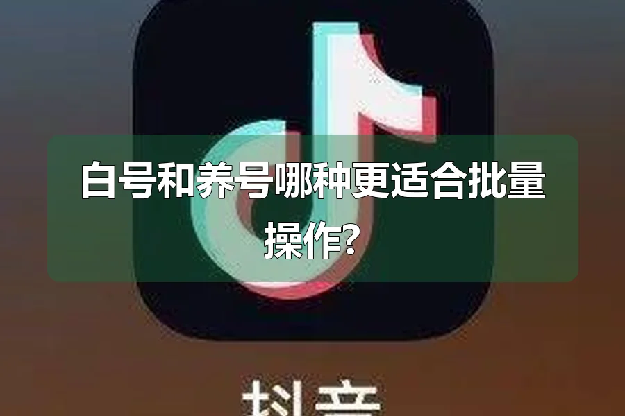 白号和养号哪种更适合批量操作?