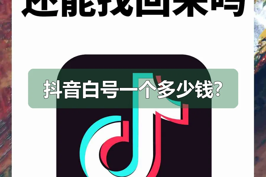 抖音白号一个多少钱?