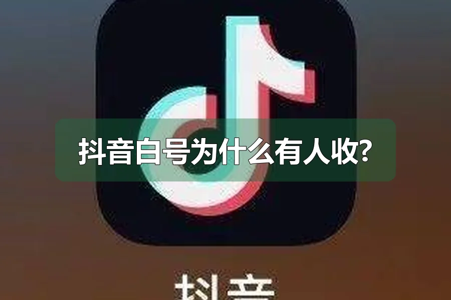 抖音白号为什么有人收?