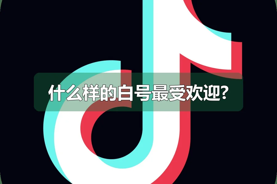 什么样的白号最受欢迎?